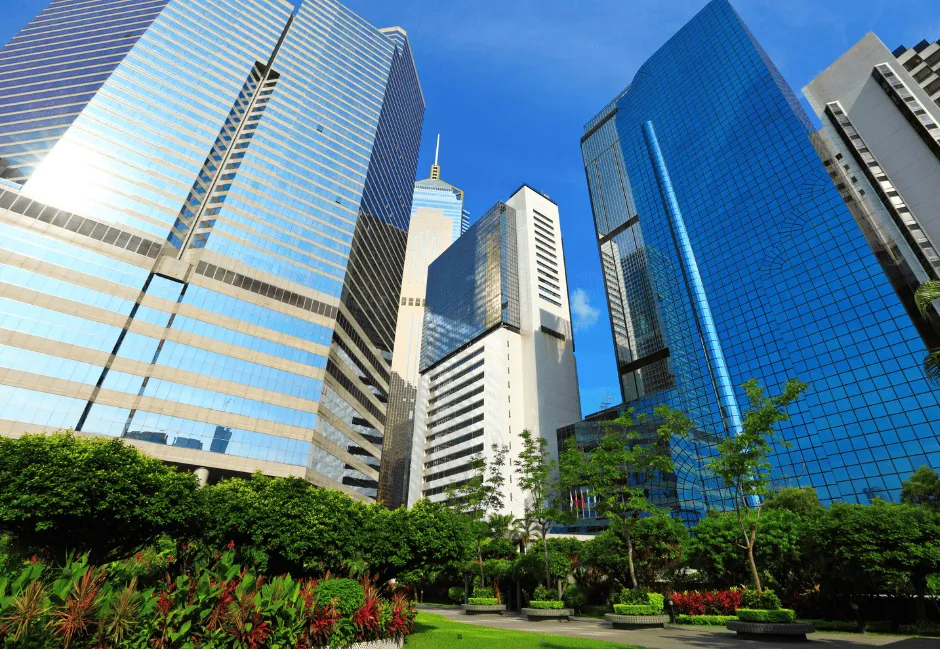 S and C Corporations